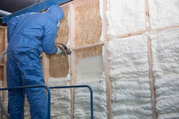 Best Commercial Insulation Services in California, MO